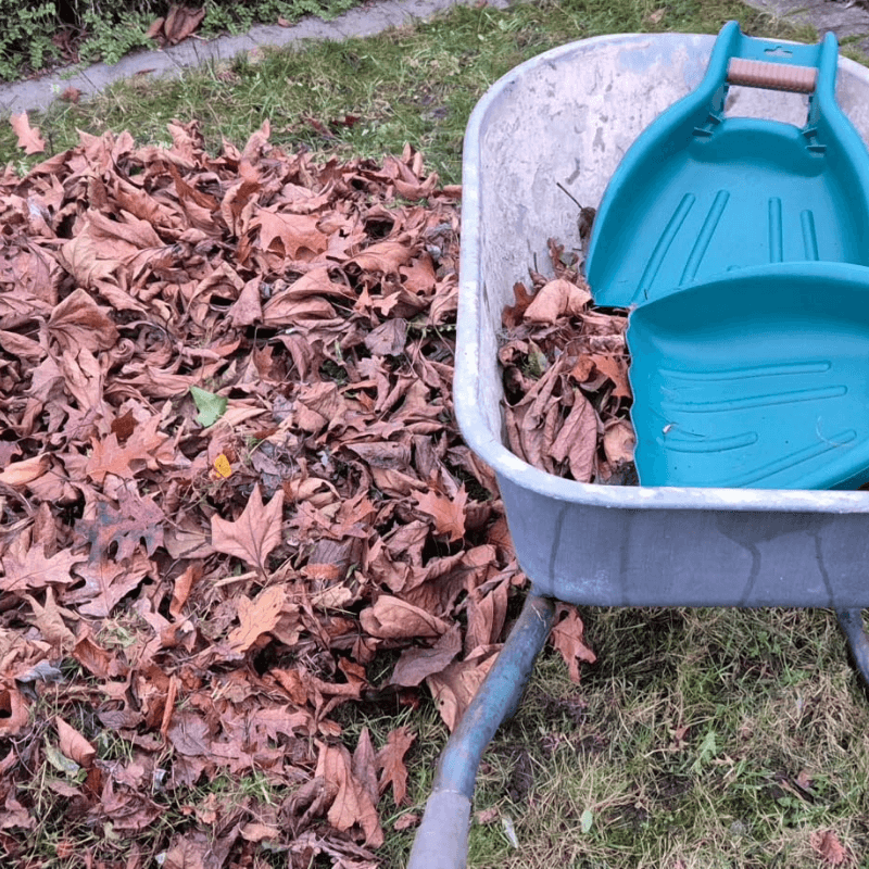 YardCatch™ - Garden Scooper